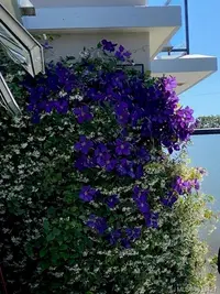 View 27
