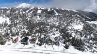 View 71