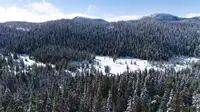 View 87