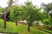 View 37