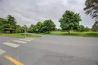 View 50