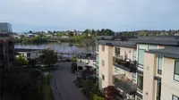 View 42