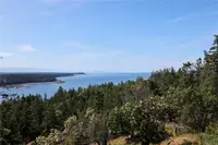View 69