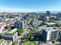 View 50
