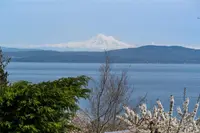 View 24