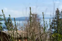 View 29