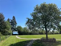 View 75