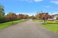 View 59