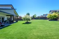 View 37