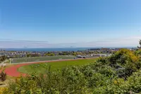 View 41