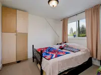 View 39