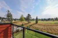 View 53