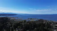 View 55