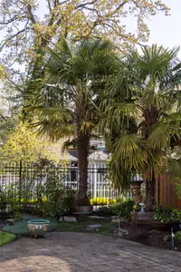 View 39