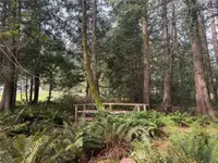 View 66