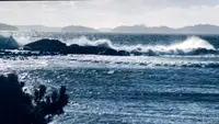 View 32