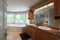 View 41