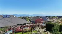 View 54