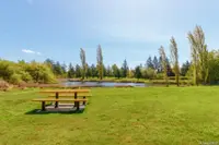 View 44