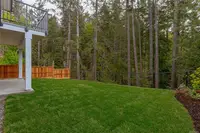 View 39