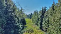 View 11