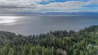 View 38
