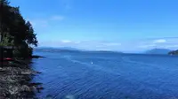 View 17