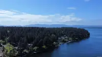 View 12