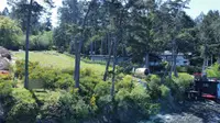 View 3