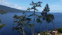 View 20