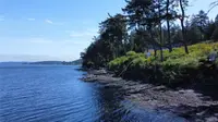 View 18