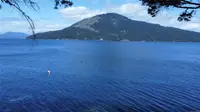 View 19