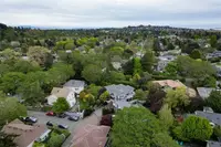 View 86