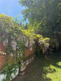 View 44