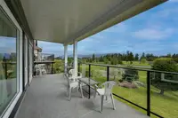 View 61