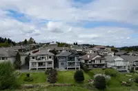 View 83
