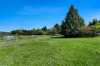 View 31