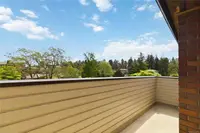 View 50
