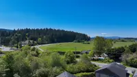 View 50