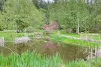 View 84