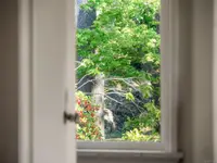 View 38