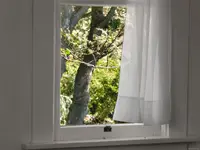 View 40