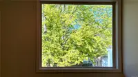 View 31