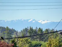 View 16