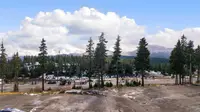 View 42