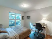 View 37