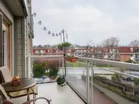 View 18