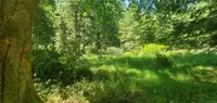 View 34