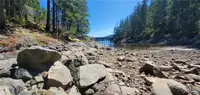 View 59