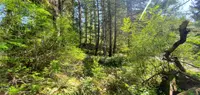 View 64